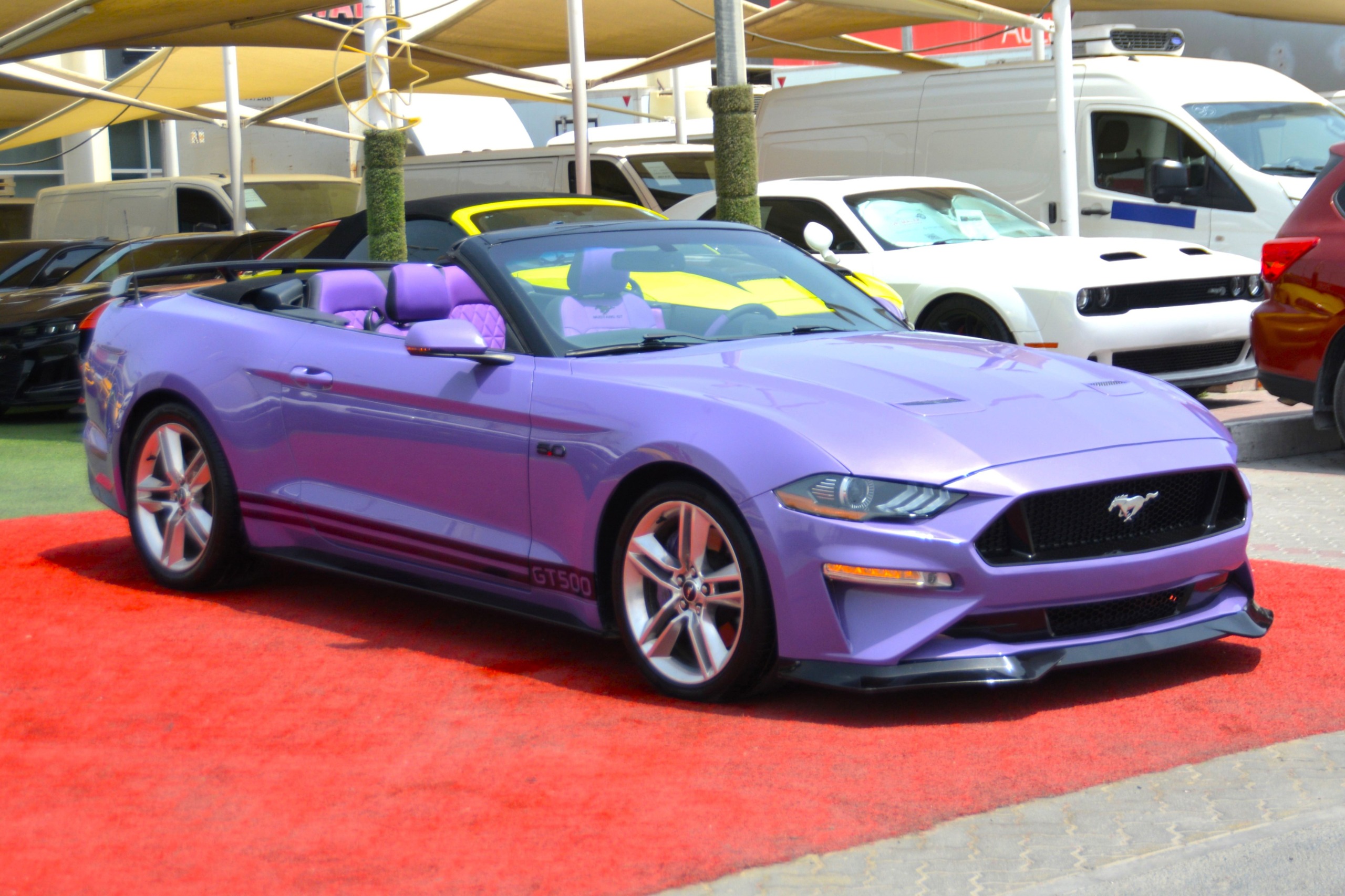 
								Ford Mustang 2019 full									