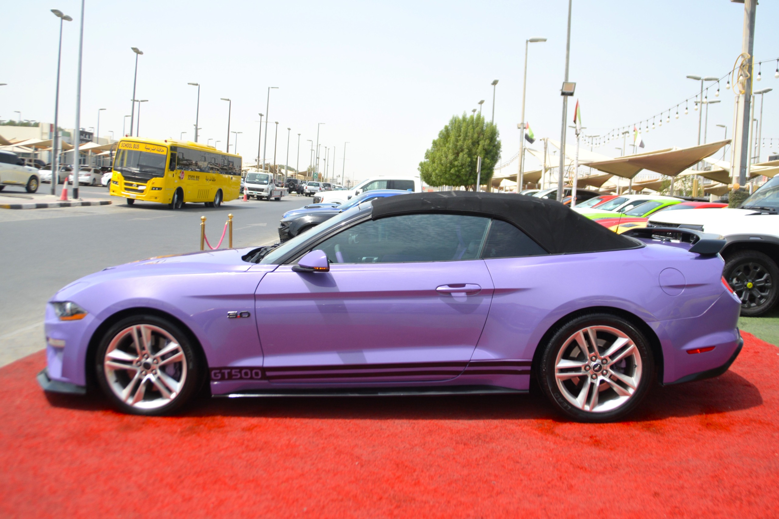 
								Ford Mustang 2019 full									